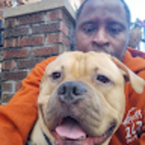 Meet your Posher, Valencia